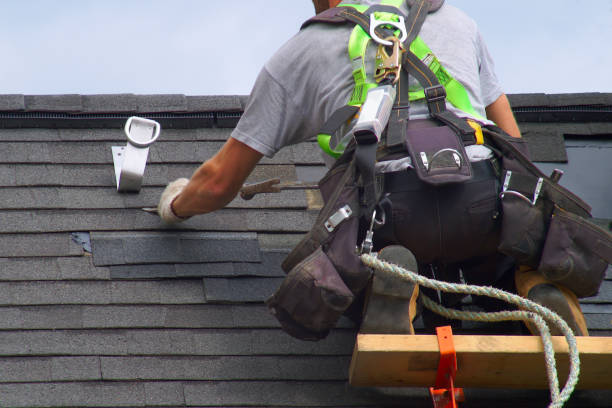 Best Roof Repair Services  in Wayland, MI