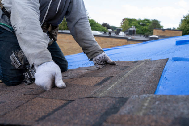Best Roof Maintenance Services  in Wayland, MI