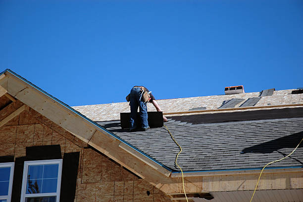 Best Roof Maintenance Services  in Wayland, MI