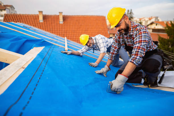 Best Emergency Roof Repair  in Wayland, MI