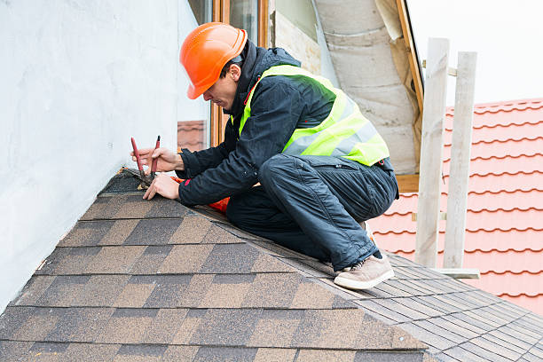 Best Roof Maintenance Services  in Wayland, MI