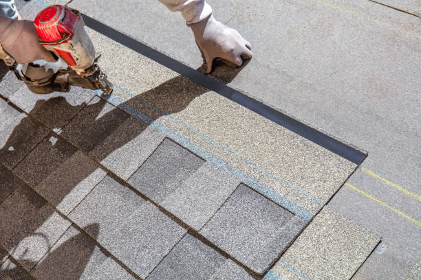 Best Storm Damage Roof Repair  in Wayland, MI