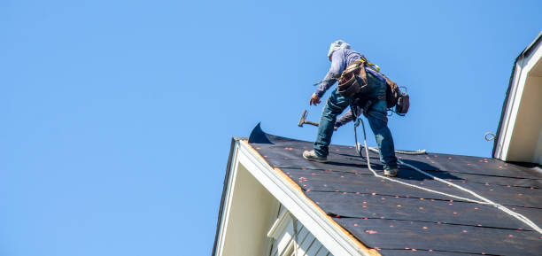 Best Roof Gutter Cleaning  in Wayland, MI